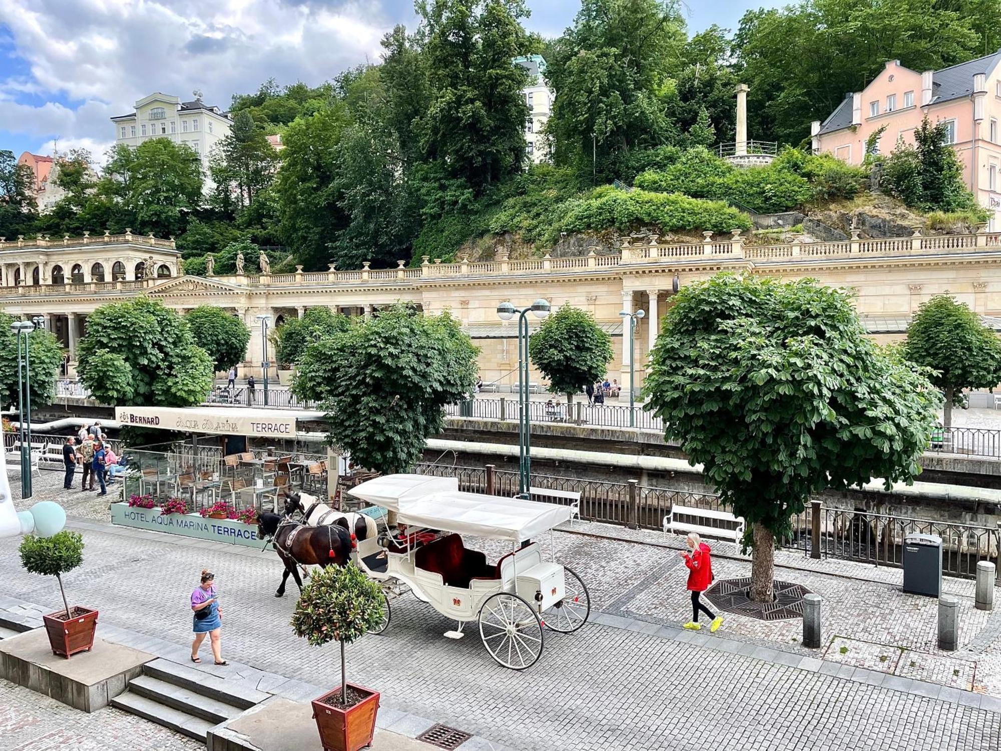 Carlsbad Grand Studio Michal Karlovy Vary Dış mekan fotoğraf